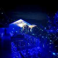 【神奈川県/江の島　関東三大イルミネーション”湘南の宝石💎”】
