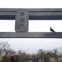 福岡観光2023 【つばめの杜広場】
