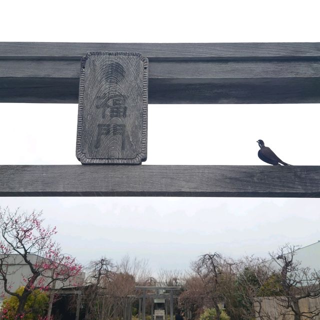福岡観光2023 【つばめの杜広場】