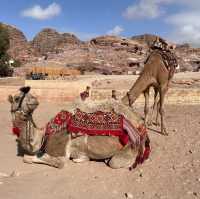ペトラ遺跡:インディージョーンズの世界へ