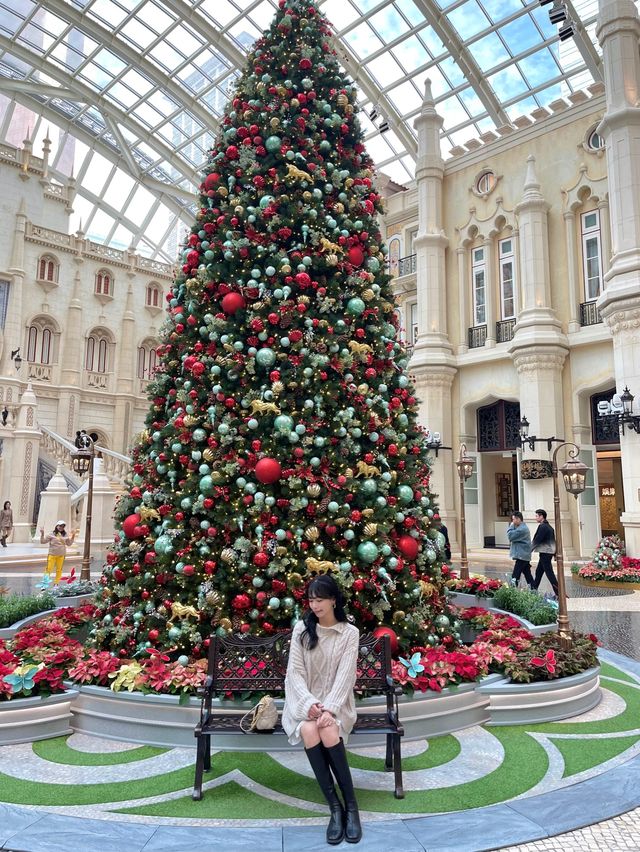澳門打卡最美宮殿內的聖誕𣗳-美高梅MGM