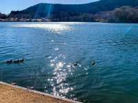 จุดชมวิวทะเลสาบทะนุกิ (Tanuki Lake)