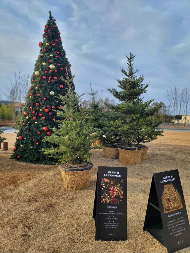 크리스마스 경주 트리맛집으로 핫했던 라한셀렉트경주🎄