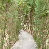 Barakat Lunla Land cafe & farm วิวทุ่งนา