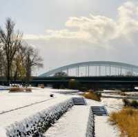 Winter Serenity at Miyamae Park