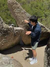 Boulders Beach : Simon's Town หาดแพนกวิ้น