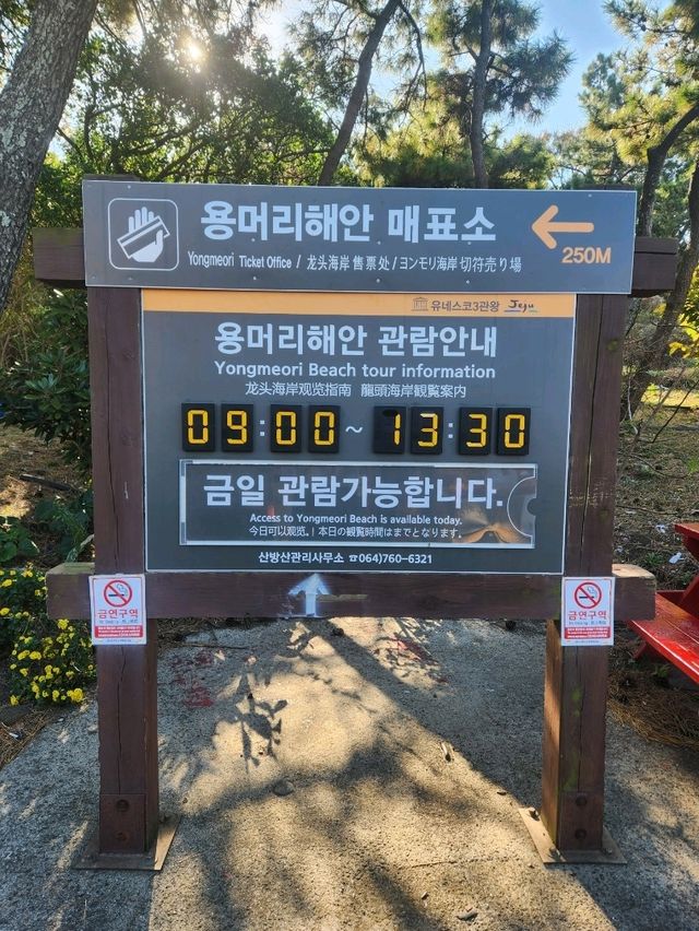 🏞내가 좋아하는 제주여행지, 자연이 만든 멋진 곳 "용머리해안"🏞