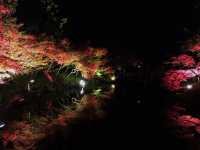 Jewellumination at Nabana no Sato