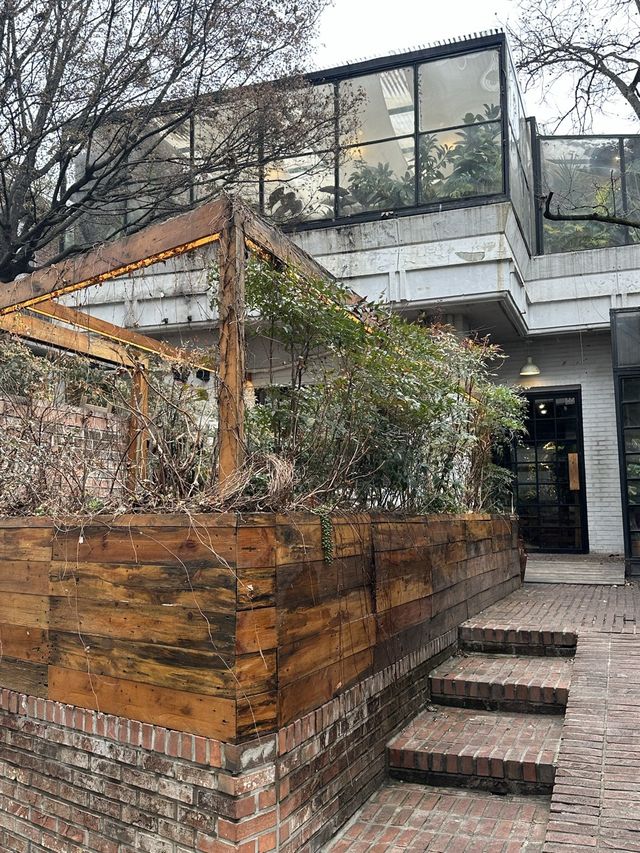 초록초록 식물 가득한 식물원 같은 카페🌿어반플랜트 합정점