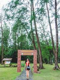 เดินเล่นริมหาด ชมทิวสน ที่หาดบางเบน