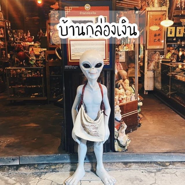หลงเสน่ห์ถนนยมจินดา ระยอง ตรุษจีนนี้มาเที่ยวกัน