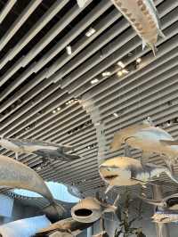 Shanghai Natural History Museum 🇨🇳