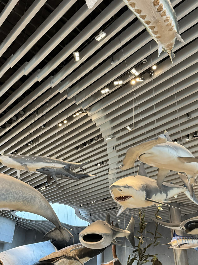 Shanghai Natural History Museum 🇨🇳