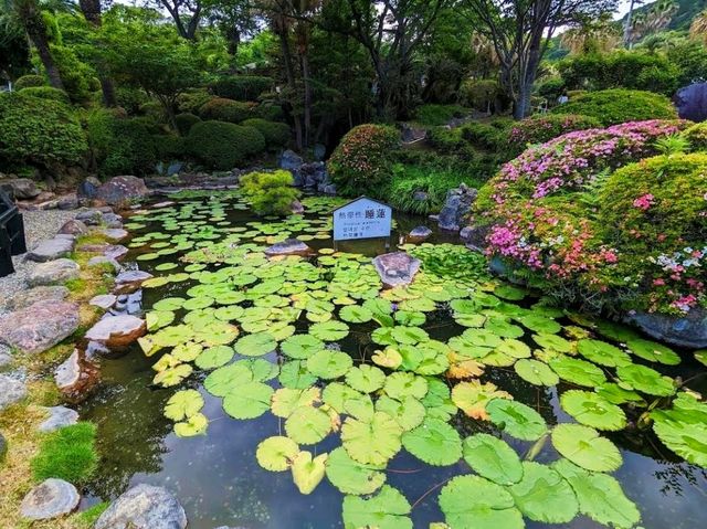 Umi Jigoku