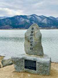 피크닉 겸 바람쐬러 가기 🌊 좋은 서울 근교 자연이 아름다운 두물머리 