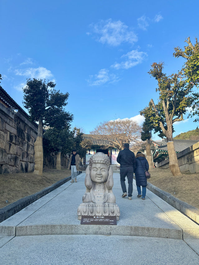 아름다운 봄꽃을 보면서 고즈넉함을 느끼고 싶을 땐 이곳으로💛