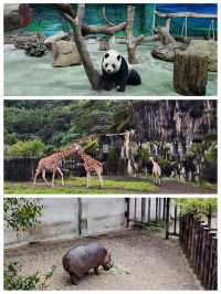 【臺北景點】臺北市立動物園：豐富多樣的動物種類，適合家庭遊玩