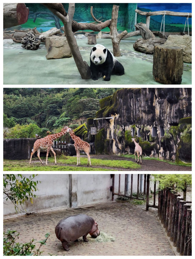 【臺北景點】臺北市立動物園：豐富多樣的動物種類，適合家庭遊玩