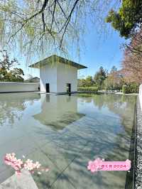 【金沢】絶対おすすめできる鈴木大拙館