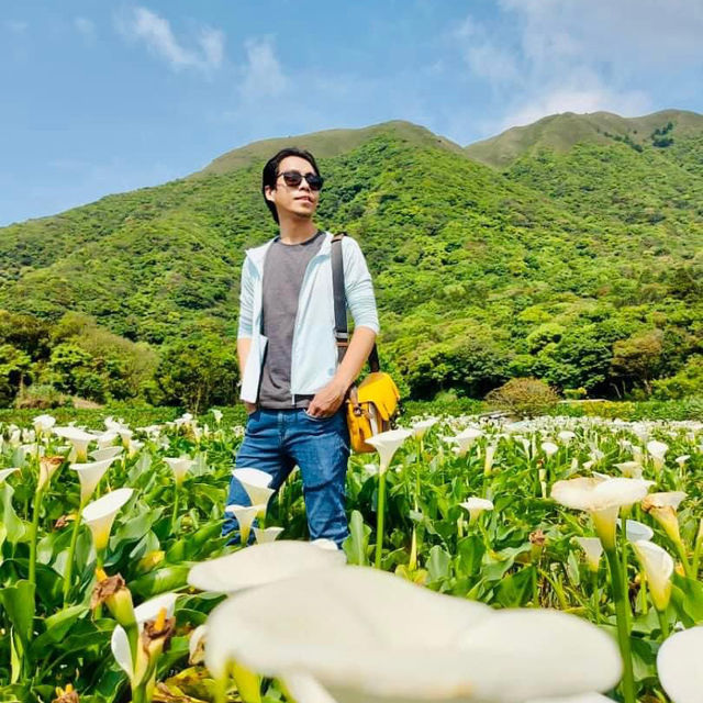 Taipei Trails Await🌳