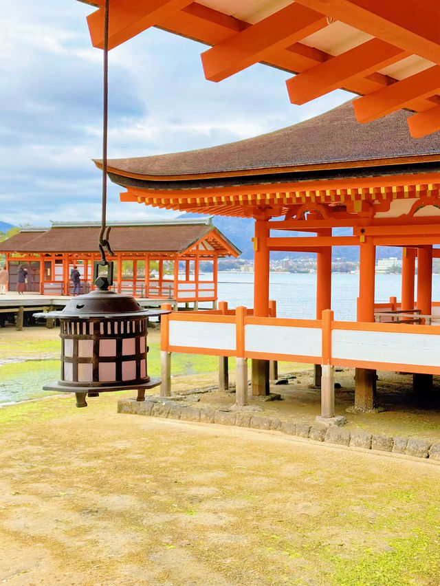 【絶景】海に浮かぶ美しき大鳥居！世界遺産嚴島神社で厄祓い⛩