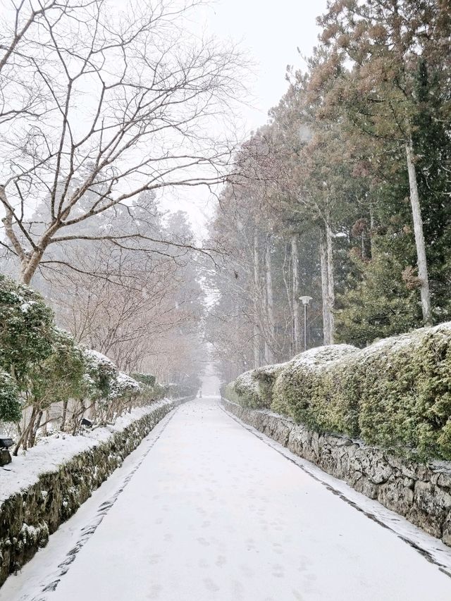 Danjo Garan Temple / A Snowy Day.