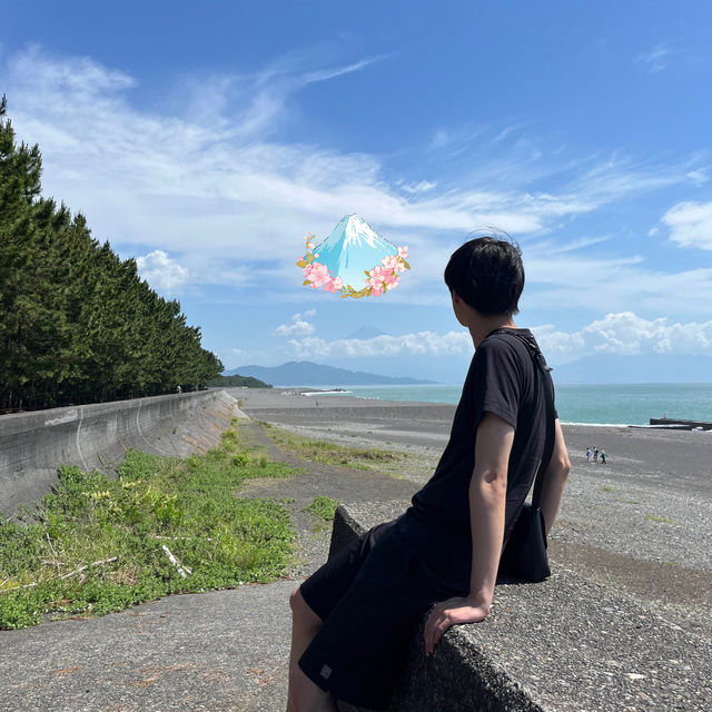 봄과 함께 하는 일본 소도시 시즈오카