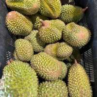 Best Durian Experience at DurianMan, SS2
