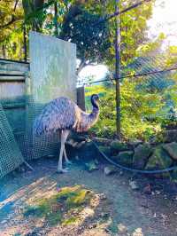 【伊豆】世界中のサボテンと動物たちと触れ合える伊豆シャボテン動物公園🌵🦚