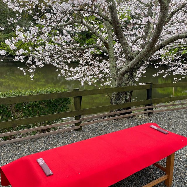 日本三大金運神社と言われてる安房神社