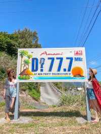 【奄美大島】思わず写真を撮りたくなる可愛い奄美看板