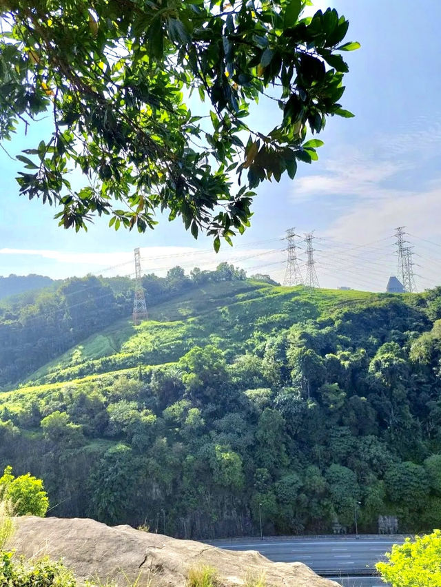 Kota Damansara Community Forest Reserve