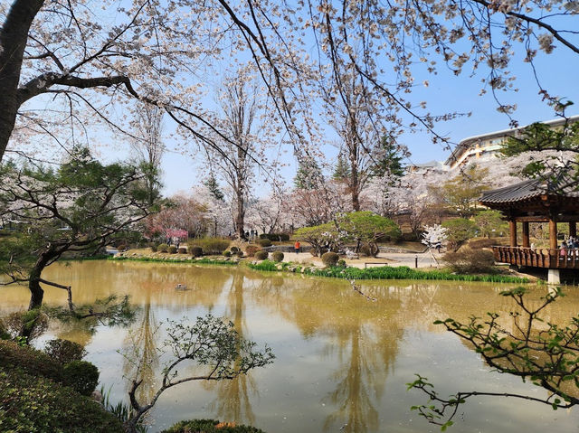 Stunning Bomunjeong Pavilion