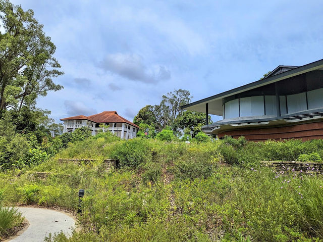 Singapore Botanic Gardens Gallop Extension