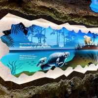 River Wonders Celebrating 10th Anniversary 