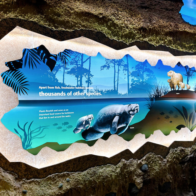 River Wonders Celebrating 10th Anniversary 