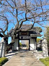 【祥応寺/東京都】摩迦羅（マカラ）が迎える癒しの寺院