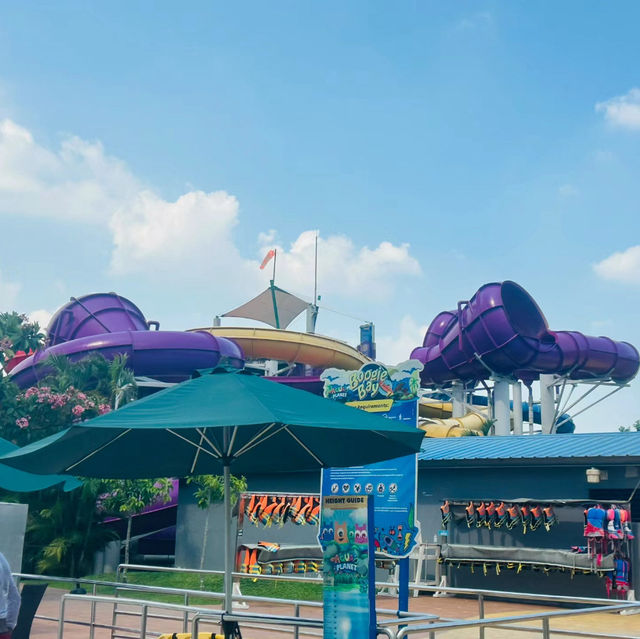 泰國Ayutthaya水上樂園：歡樂時光