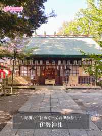 【伊勢神社/栃木県】足利で三社めぐってお伊勢参り