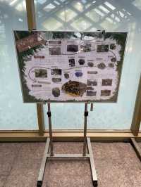 【京都府】梅小路公園にある美しい建物緑の館