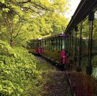 ECOLAND 森林小火車：春天好去處，適合情侶、閨蜜、全家大小