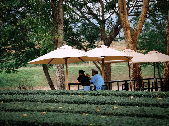Pirom Cafe เขาใหญ่ พร้อมเสิร์ฟรับฤดูร้อน 