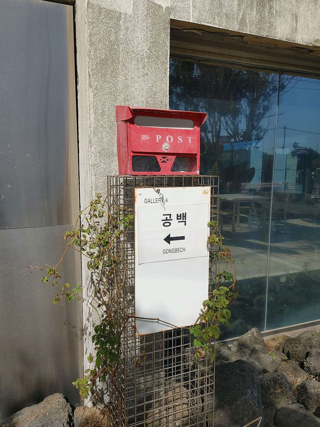 🩵제주도 구좌읍 카페 추천 공백🤍