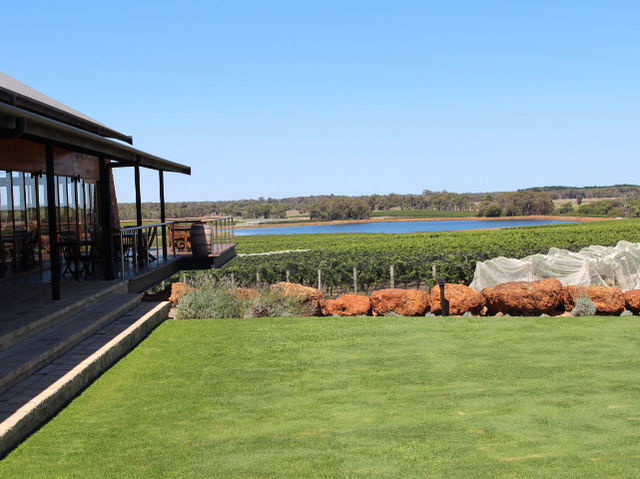 Lovely Winery in Perth, Western Australia 🇦🇺