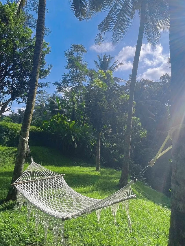 【バリ島】ウブドにある5つ星のホテル🌴1泊3万円〜