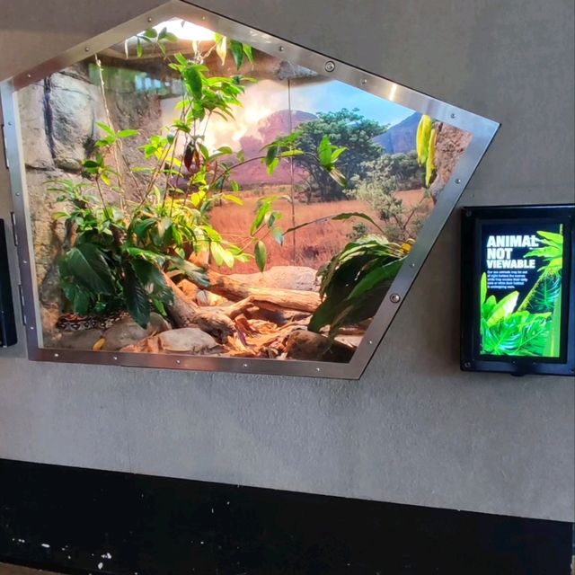 墨爾本動物園 Melbourne Zoo 