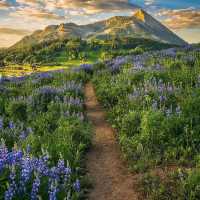 Colorado USA 