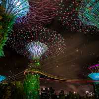 Gardens by the Bay at Night: A Dazzling Urban Oasis