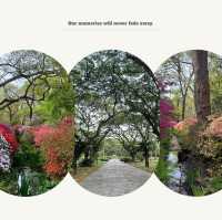 大恩公園：自然景觀，春天好去處