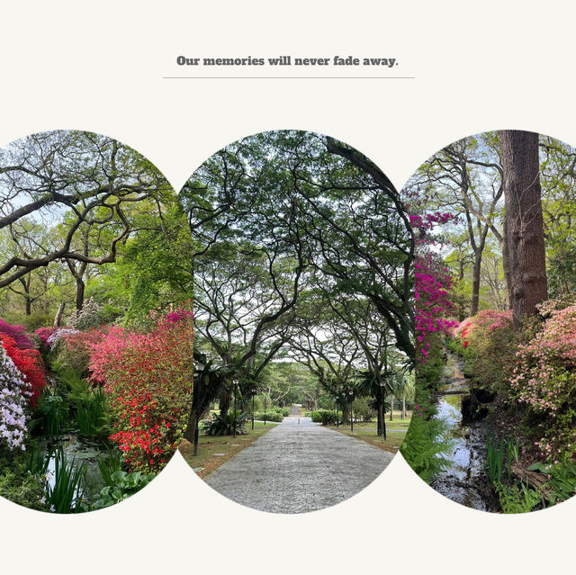 大恩公園：自然景觀，春天好去處